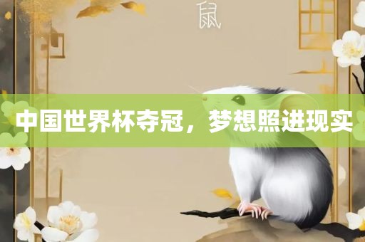 中国世界杯夺冠，梦想照进现实广西贺州市华昌新材料有限公司