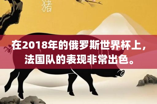 在2018年的俄罗斯世界杯上，法国队的表现非常出色。广西贺州市华昌新材料有限公司
