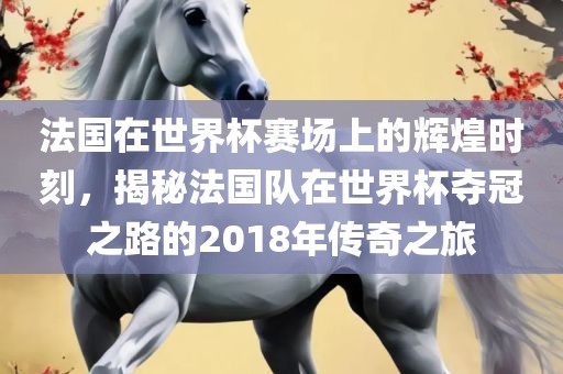 法国在世界杯赛场上的辉煌时刻，揭秘法国队在世界杯夺冠之路的2018年传奇之旅广西贺州市华昌新材料有限公司