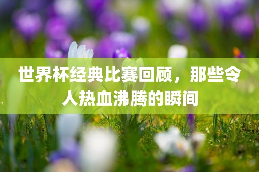 世界杯经典比赛回顾，那些令人广西贺州市华昌新材料有限公司热血沸腾的瞬间