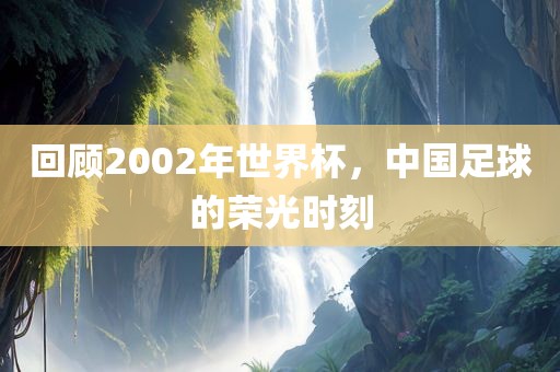 2002年世界杯 第2页