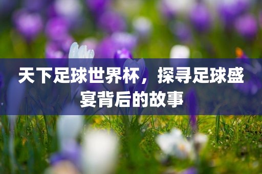 世界杯足球 第7页