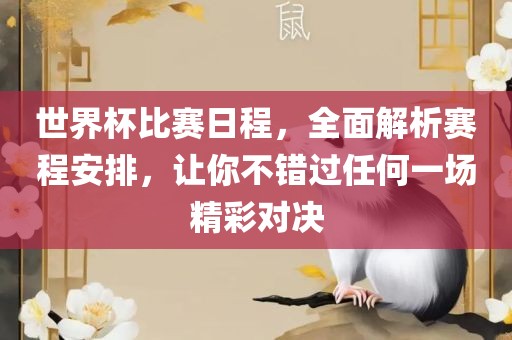 世界杯比赛日程，全面解析赛程安排，让你不错过任何一场精彩对决