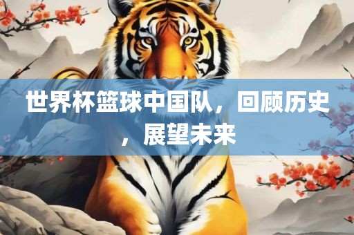 世界杯篮球中国队，回顾历史，展望未来