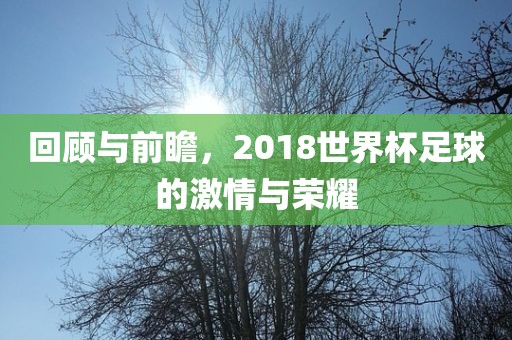 回顾与前瞻，2018世界杯足球的激情与荣耀广西贺州市华昌新材料有限公司