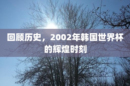 回顾历史，2002年韩国世界杯的辉煌时刻广西贺州市华昌新材料有限公司