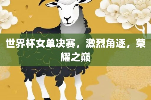 世界杯女单决赛，激烈角逐，荣耀之巅