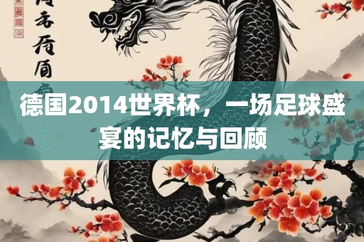 德国2014世界杯，一场足球盛宴的记忆与回顾