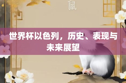 世界杯以色列，历史、表现与未来展望广西贺州市华昌新材料有限公司