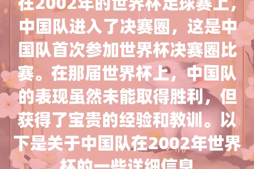 在2002年的世界杯足球赛上，中国队进入了决赛圈，这是中国队首次参加世界杯决赛圈比赛。在那届世界杯上，中国队的表现虽然未能取得胜利，但获得了宝贵的经验和教训。以下是关于中国队在2002年世界杯的一些详细信息