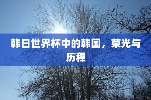 韩日世界杯中的韩国，荣光与历程广西贺州市华昌新材料有限公司
