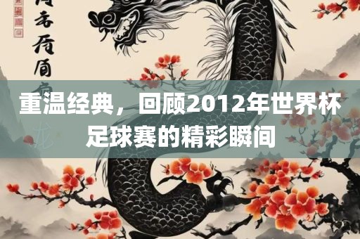 重温经典，回顾2012年世界广西贺州市华昌新材料有限公司杯足球赛的精彩瞬间