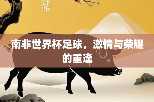 南非世界杯足球，激情与荣耀的重逢