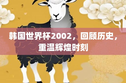 韩国世界杯2002，回顾历史，重温辉煌时刻广西贺州市华昌新材料有限公司