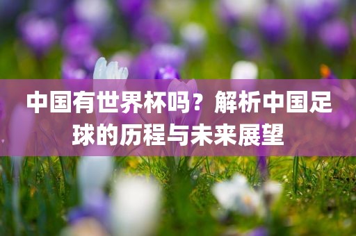 shiyijing 第9页