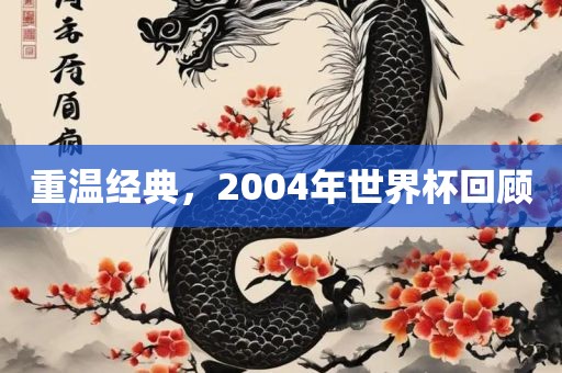 重温经典，2004年世界杯回顾广西贺州市华昌新材料有限公司