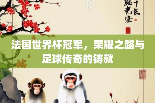 法国世界杯冠军，荣耀之路与足球传奇的铸就