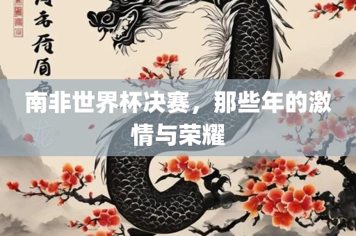 南非世界杯决赛，那些年的激情与荣耀