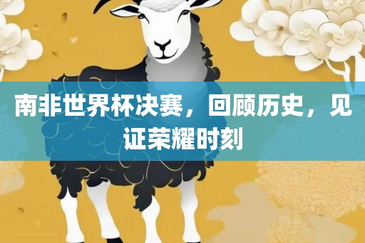 南非世界杯决赛，回顾历史，见证荣耀时刻