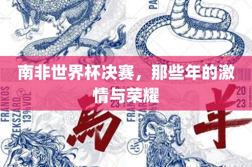南非世界杯决赛，那些年的激情与荣耀