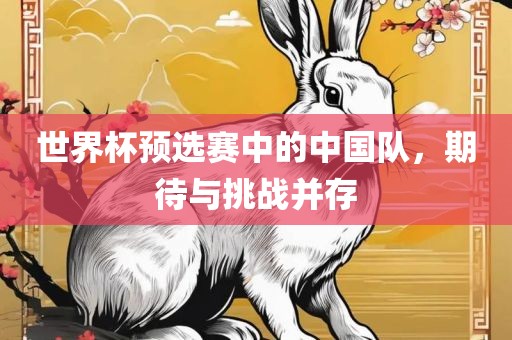 世界杯预选赛中的中国队，期待与挑战并存广西贺州市华昌新材料有限公司