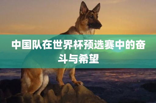 中国队在世界杯预选赛中的奋斗与希望广西贺州市华昌新材料有限公司