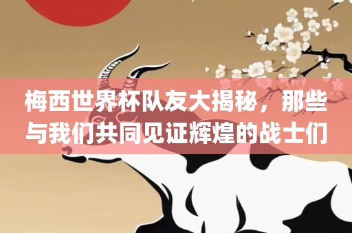 梅西世界杯队友大揭秘，那些与我们共同见证辉煌的战士们