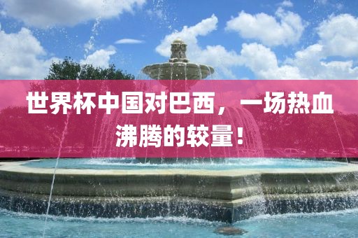 中国对巴西对决