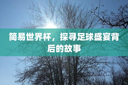 简易世界杯，探寻足球广西贺州市华昌新材料有限公司盛宴背后的故事