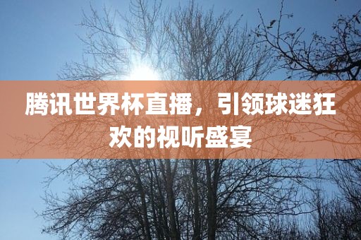 腾讯世界杯直播，引领球迷狂欢的视听盛宴广西贺州市华昌新材料有限公司