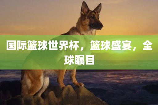 linwanting 第10页