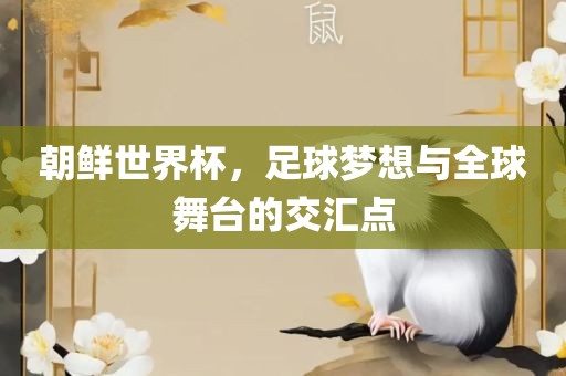 朝鲜世界杯，足球梦想与全球舞台的交汇点