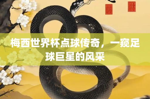 梅西世界杯点球传奇，一窥足球巨星的风采广西贺州市华昌新材料有限公司