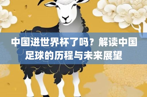 中国进世界杯了吗？解读中国足球的历程与未来展望广西贺州市华昌新材料有限公司