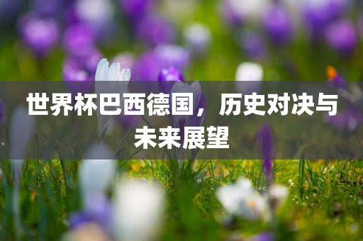 世界杯巴西德国，历史对决与未来展望广西贺州市华昌新材料有限公司