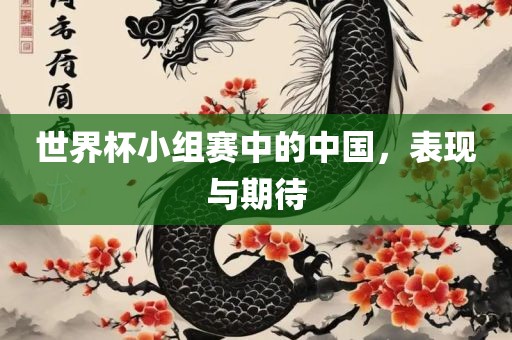 世界杯小组赛中的中国，表现与期待