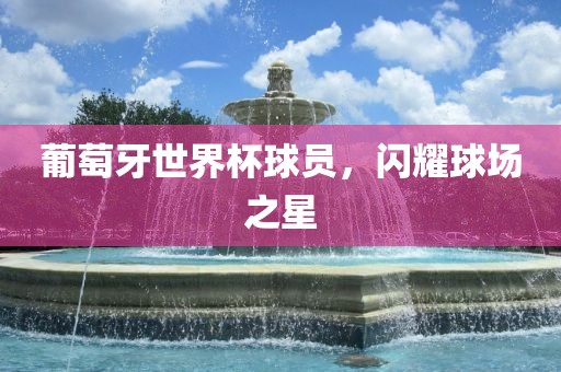 葡萄牙世界杯球员，闪耀球场之星广西贺州市华昌新材料有限公司