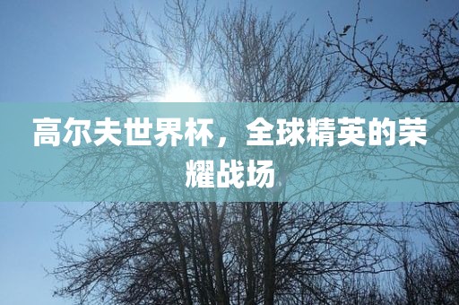 高尔夫世界杯，全球精英的荣耀战场广西贺州市华昌新材料有限公司