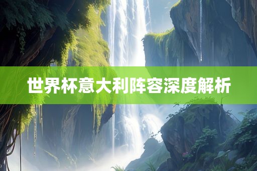 广西贺州市华昌新材料有限公司世界杯意大利阵容深度解析