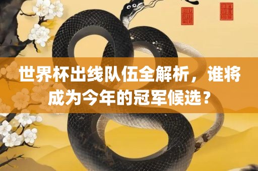 世界杯出线队伍全解析，谁将成为今年的冠军候选？