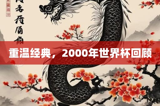 重温经典，2000年世界杯回顾广西贺州市华昌新材料有限公司