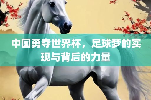 中国勇夺世界杯，足球梦的实现与背后的力量广西贺州市华昌新材料有限公司