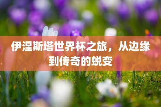 伊涅斯塔世界杯之旅，从边缘到传奇的蜕变