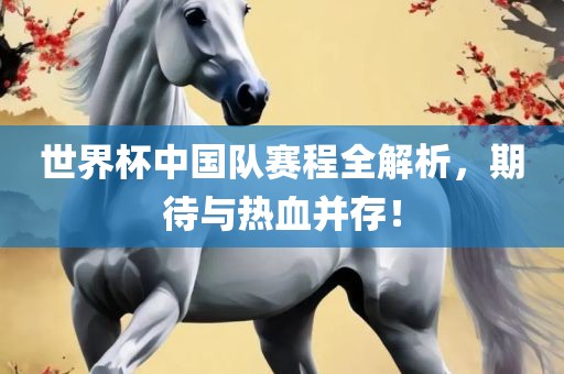 世界杯中国队赛程全解析，期待与热血并存！