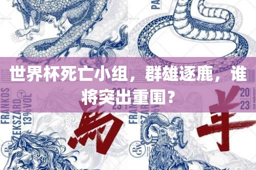 世界杯死亡小组，广西贺州市华昌新材料有限公司群雄逐鹿，谁将突出重围？