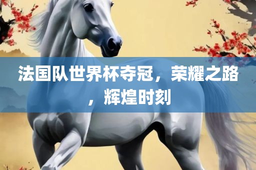 法国队世界杯夺冠，荣耀之路，辉煌时刻广西贺州市华昌新材料有限公司