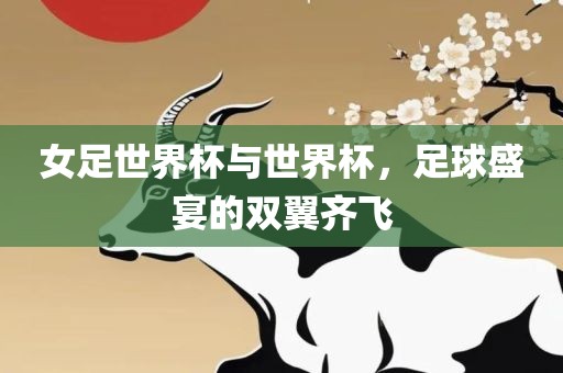女足世界杯与世界杯，足球盛宴的双翼齐飞广西贺州市华昌新材料有限公司