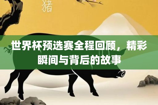 世界杯预选赛全程回顾，精彩瞬间与背后的故事广西贺州市华昌新材料有限公司