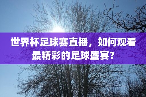 世界杯足球赛直播，如何观看最精彩的足球盛宴？