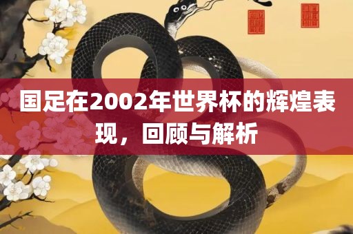 国足在2002年世界杯的辉煌表现，回顾与解析